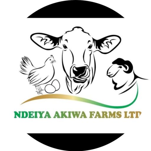 Ndeiya Akiwa Farm
